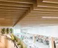 Raster ceilings, strip ceilings, coffered ceilings in various colors and shapes - for both indoor and outdoor facilities