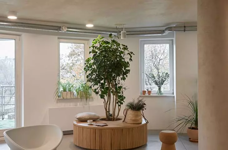 Papaya Films' Warsaw office