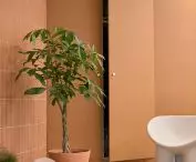 Papaya Films' Warsaw office