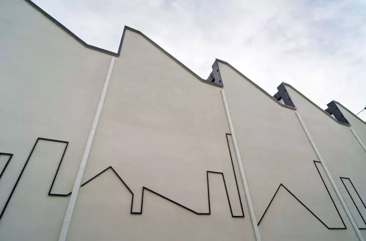 Facade and shed roof