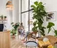 The studio space is conducive to contacts