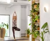 Spaces are filled with vegetation