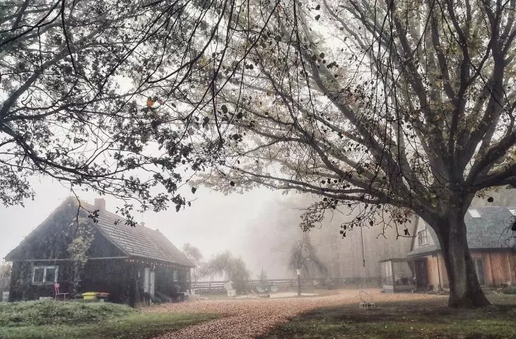 View of the forester's lodge in Soltys with an old oak tree