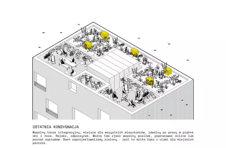 shared terrace