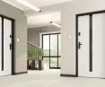 Cerber Plus RC2 door, pattern W1S glass application
