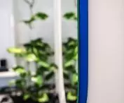 bathroom detail