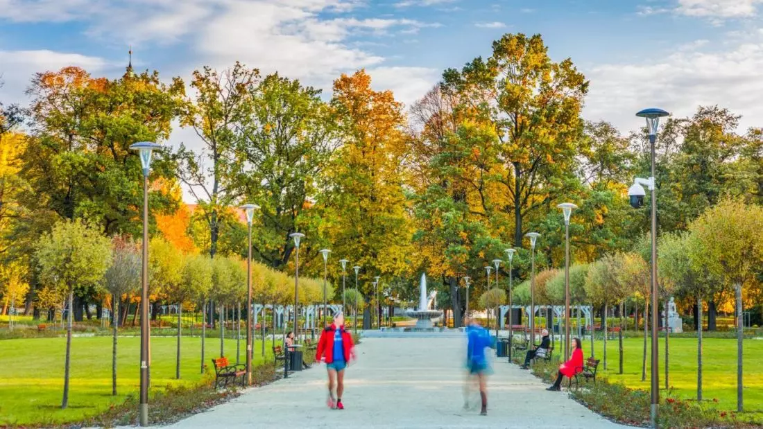Widok na Park
Centralny w Świdnicy