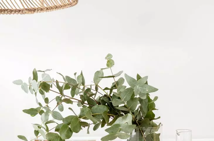 natural details break the whiteness of the interior