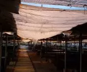Wielkopolska Square - the stalls, their location and makeshift security measures need far-reaching changes.