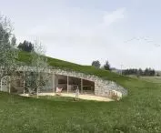 Green roof covered with local vegetation 