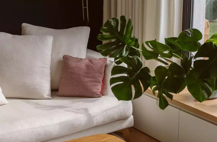 Przytulna przestrzeń salonu