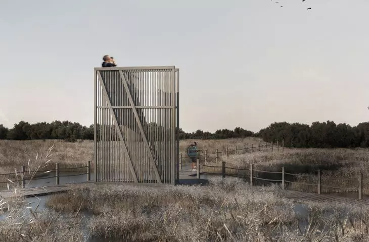 Chat room for bird watching