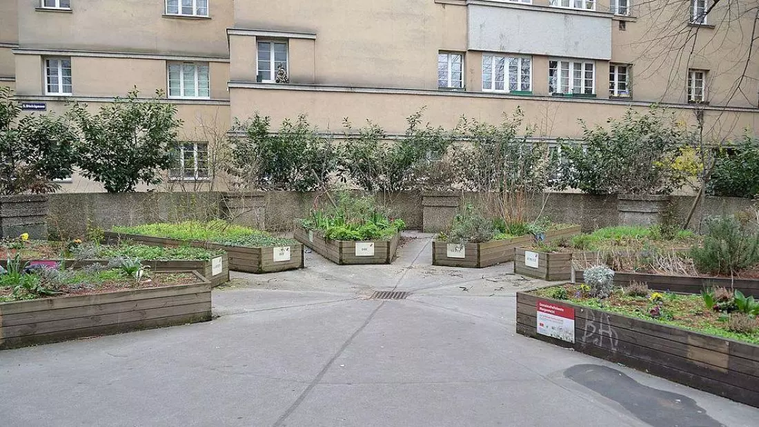 Urban
gardening w okolicy kamienicy mieszkalnej
