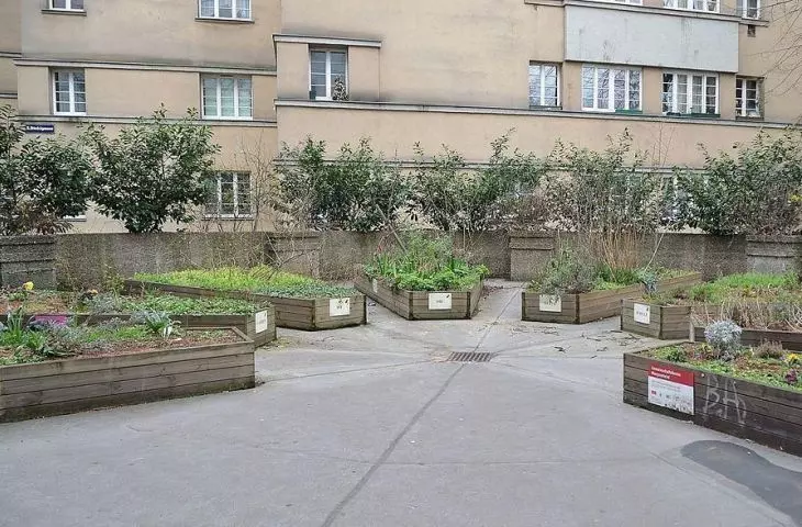 Urban gardening in the vicinity of a residential building