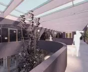 Floor of the building 