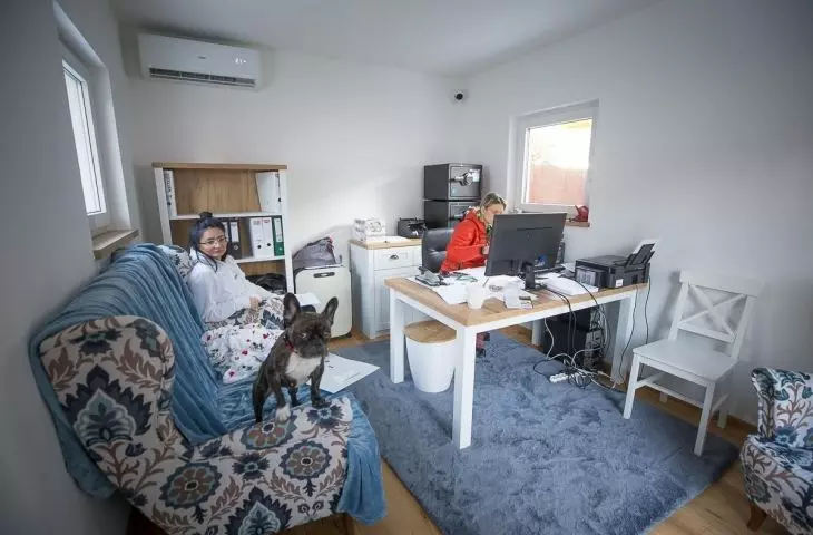 Interior of the Dog Village house with the resident and caretakers