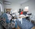Interior of the Dog Village house with the resident and caretakers