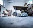A view of the interior of the Dog Village house