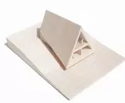 House model