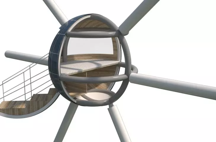 Capsule design
