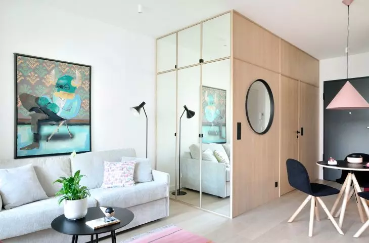 bathroom on the side of the kitchen is clad in light wood, on the side of the living room a closet with mirrored fronts has been placed