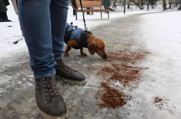 Coffee trail