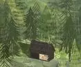 Habitat can be created, for example, in the forest 