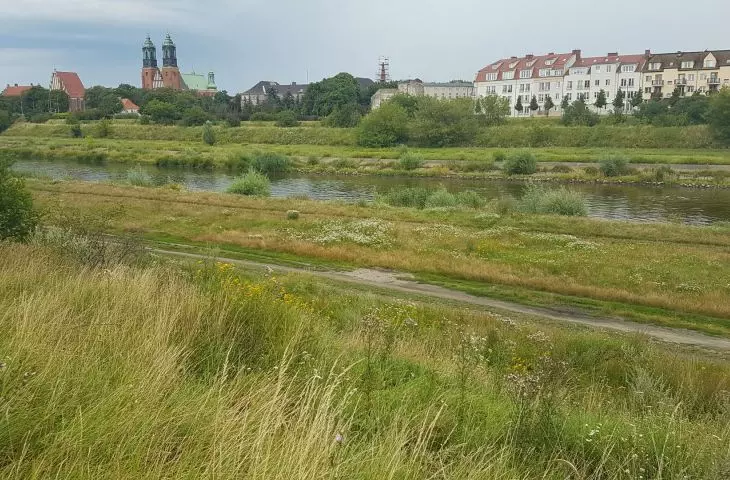 The Warta at the height of the park in the old riverbed of the Warta and Old Town.