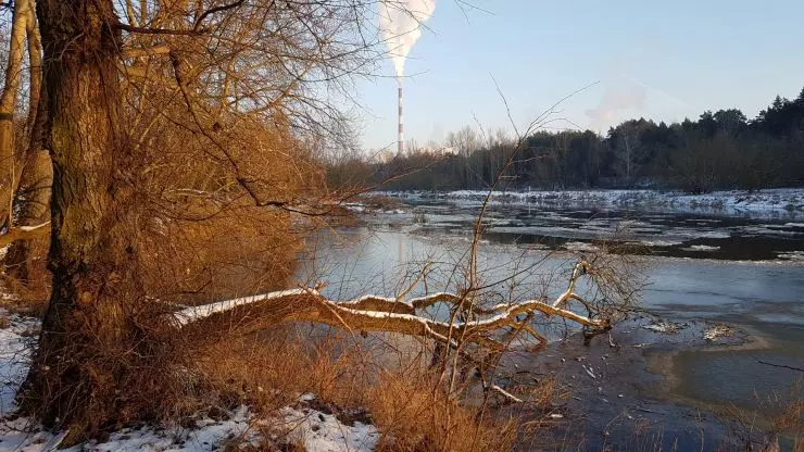 An environmentally valuable northern section of the Warta River valley that will hardly be transformed. Przyrodniczo valuable northern section of the Warta River valley