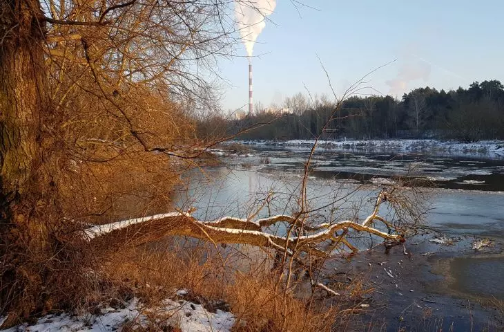 Przyrodniczo cenny północny odcinek doliny Warty, który prawie nie ulegnie przekształceniom. 