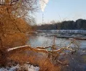 The naturally valuable northern section of the Warta River valley, which will hardly be transformed. 