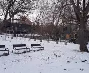 Szelągowski Park with Szeląg Garden. In the depth of the community center, on the right the catering and office container (proj. wiercinski-studio)