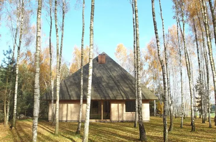 The sloping roof of the house is covered with aspen chips