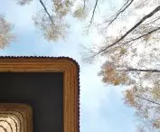 Mushroom house, roof fragment