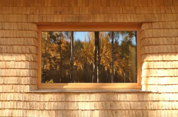 Mushroom house, facade detail