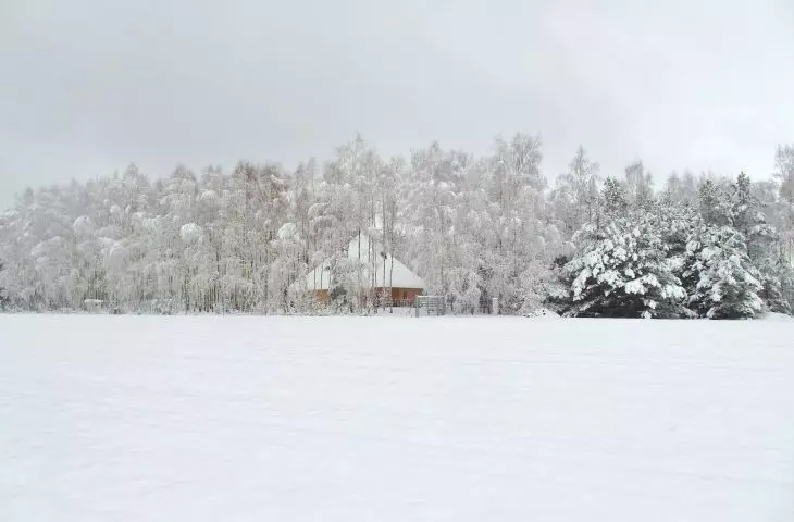 House hidden in winter landscape