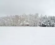 House hidden in winter landscape