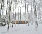 Mushroom house during winter