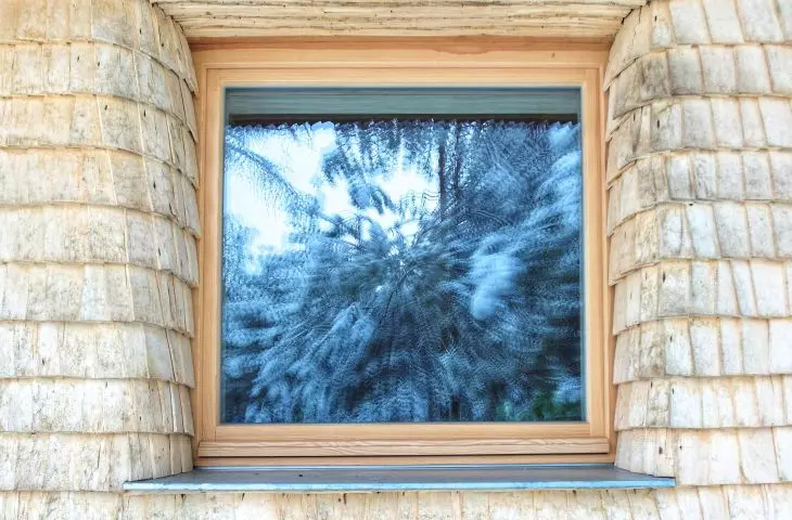 Window and reflective nature