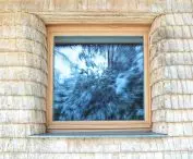 Window and reflective nature