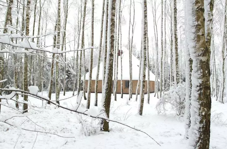 House tucked between the trees