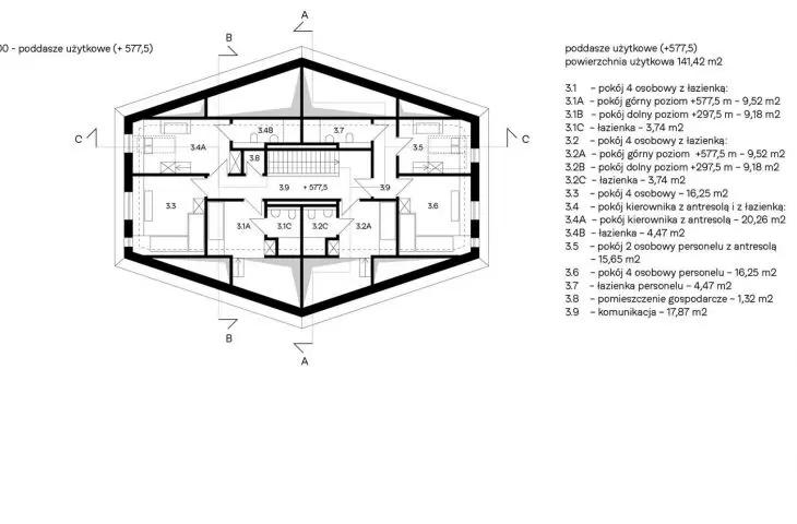 usable attic projection