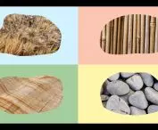 The Propositions for Circular Construction