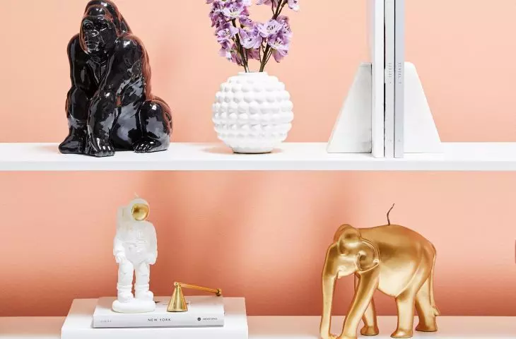 Animal-shaped accessories