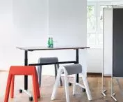 Mobility/Flexibility