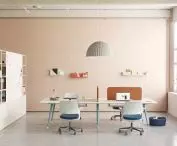 Mobility/Flexibility