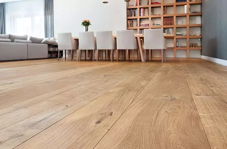 nowości od firmy Marchewka