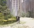 The green city of Detroit