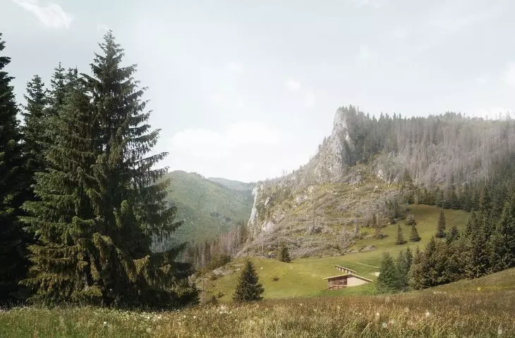 widok na schronisko z oddali
