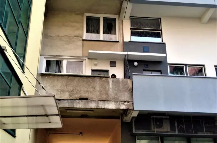 contact of the non-renovated and renovated part